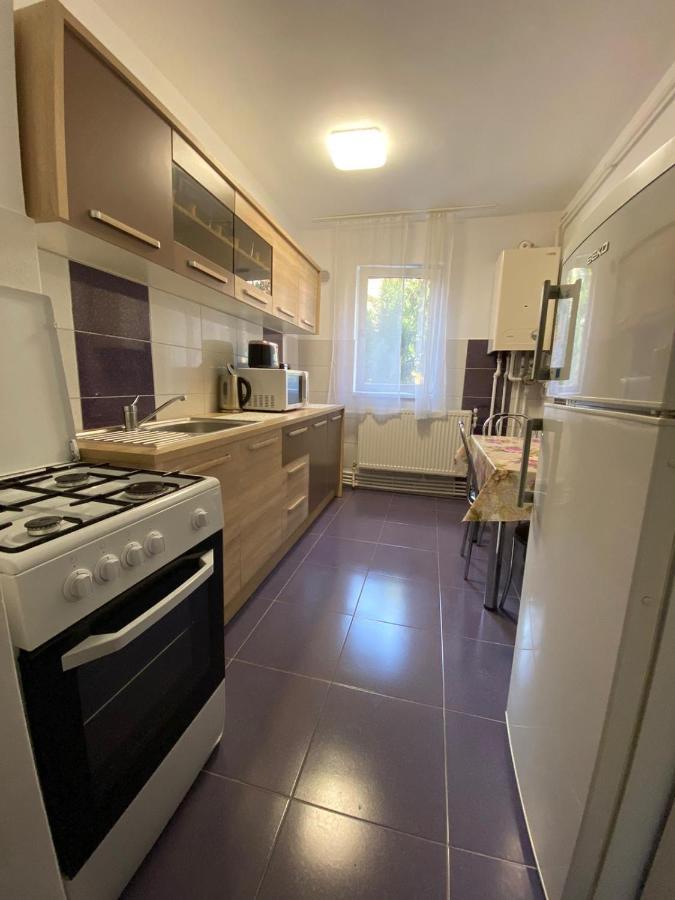 Appartement Apartament Untold à Turda Extérieur photo